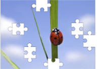 ladybug jigsaw puzzles