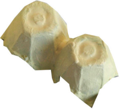egg carton painted