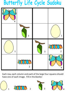 life cycle of a butterfly sudoku puzzle