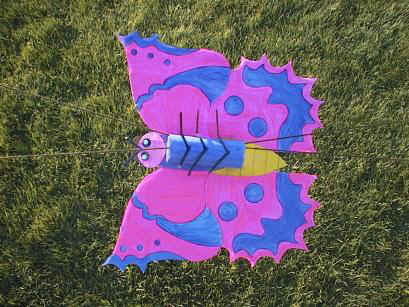 butterfly craft