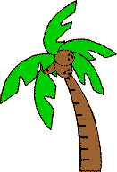 coconut tree