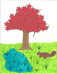 canada maple leaf craft