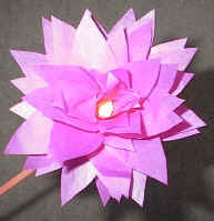 tissue paper flowers