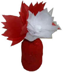 canada flowers craft