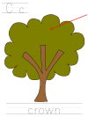 arbor day, parts of a tree, tracer pages