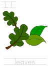 arbor day, parts of a tree, tracer pages