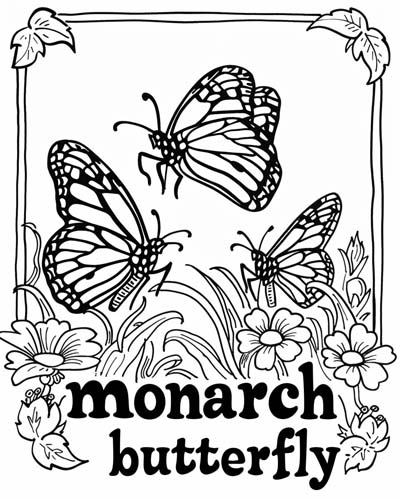 endangered animal coloring page of a monarch butterfly