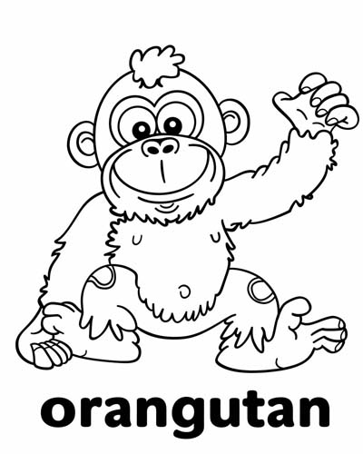endangered animal coloring page of an orangutan