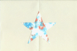 Fourth of July Stained Glass Craft