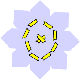 tape flower