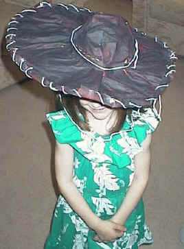sombrero craft