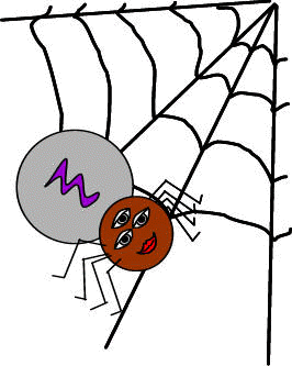 spider