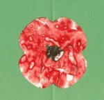 poland stained glass poppy craft