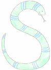snake