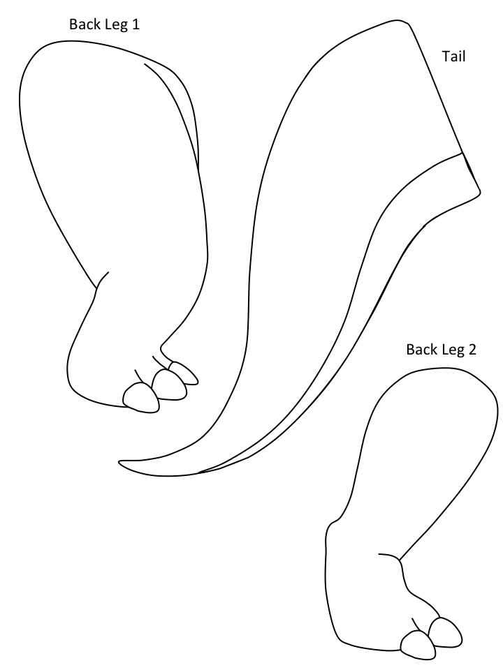 template