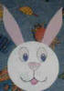 rabbits