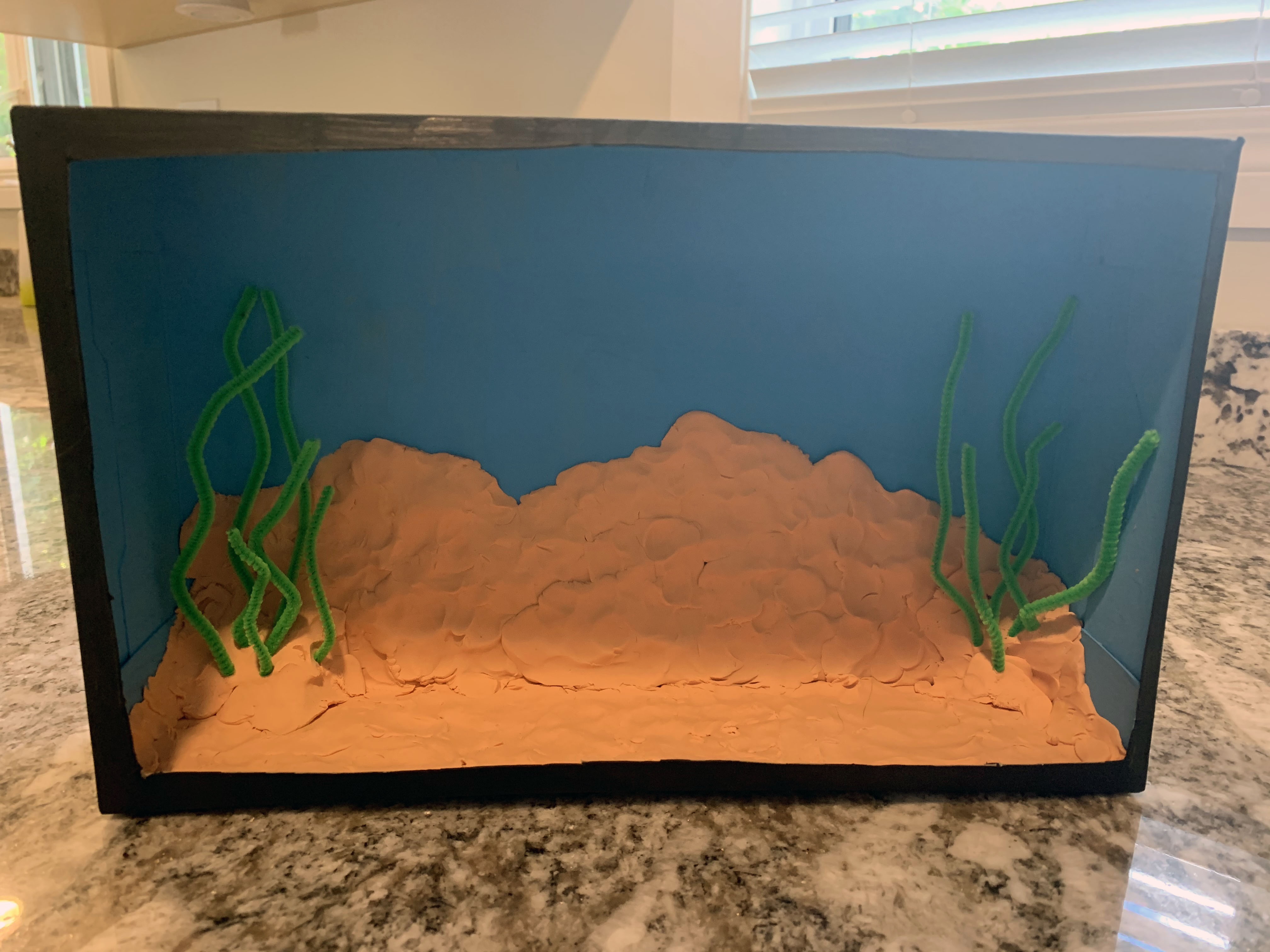 add seaweed pipecleaners