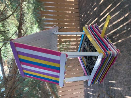 Popsicle Stick Bird Feeder Craft