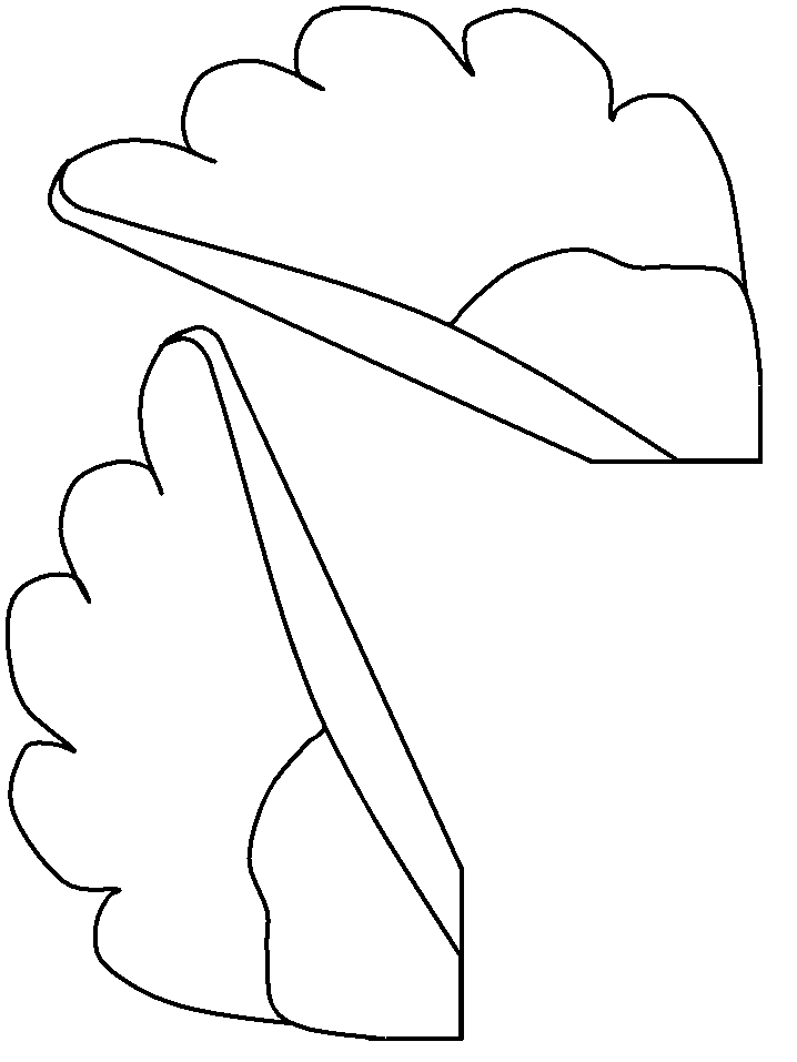 template