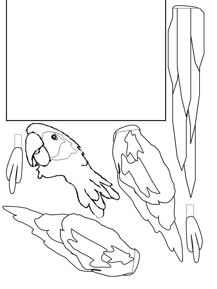 template
