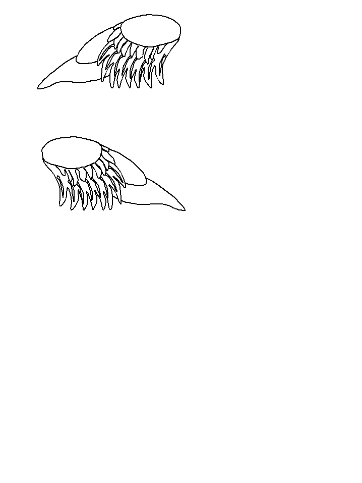 template