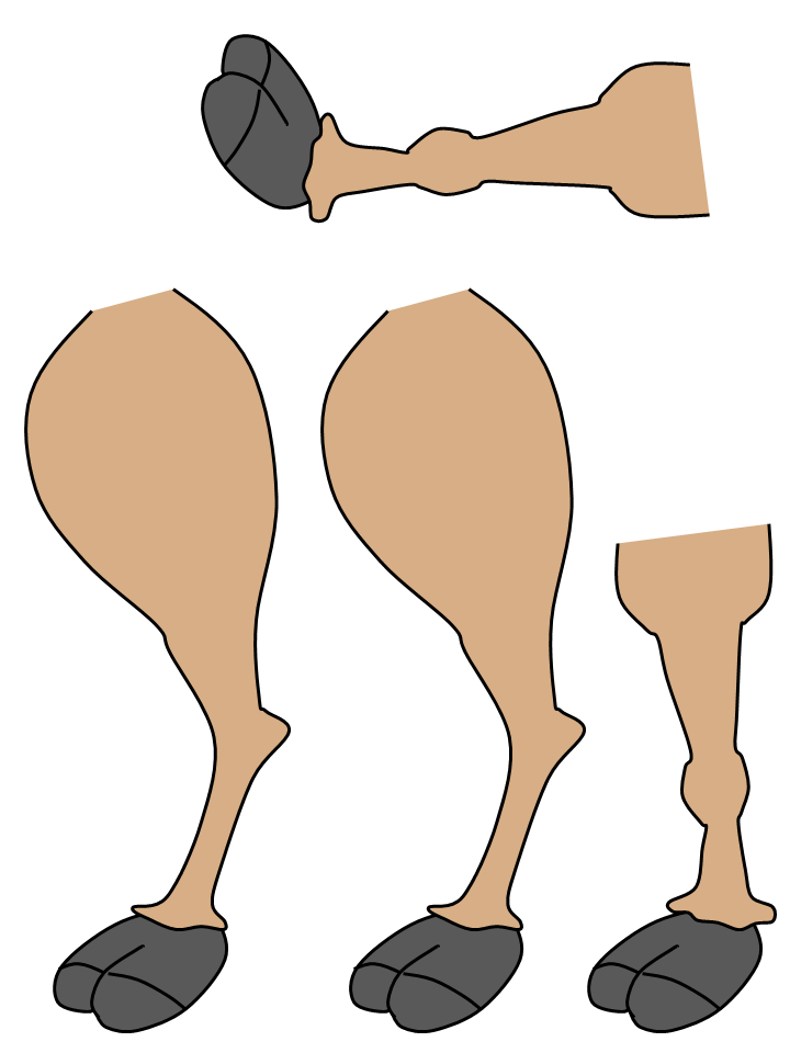 template