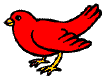 bird crafts and activities