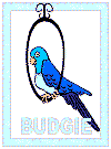 animal coloring page