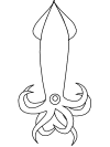 squid coloring page