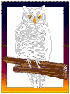 owl coloring page