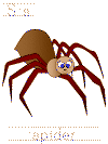 spider tracer page