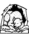 polar bear coloring page