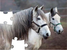 horse activities and crafts