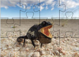 chameleon jigsaw puzzles