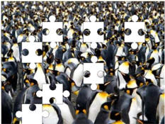 Penguin jigsaw puzzles