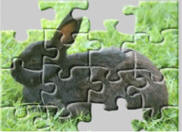 rabbit jigsaw puzzles