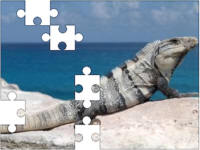 Reptile jigsaw puzzles
