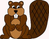 beaver craft