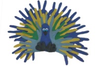 peacock crafts