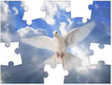 dove jigsaw puzzles