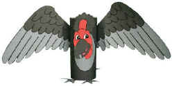 vulture