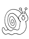 snail coloring page