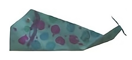 photo of the finished Whale Origami Paper Craft