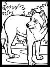 wolf coloring page