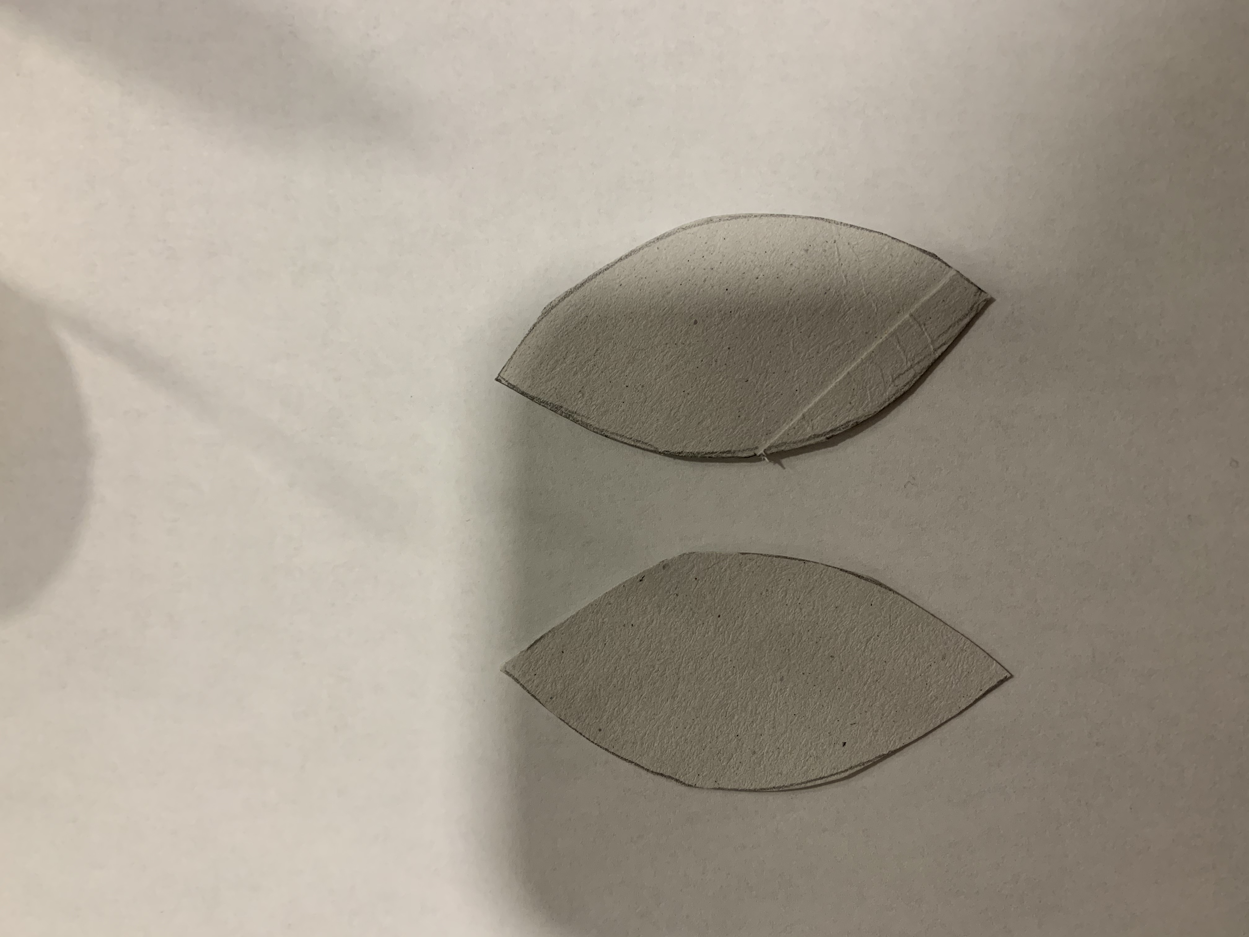 Cut out leaf shapes