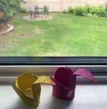 Display your creations