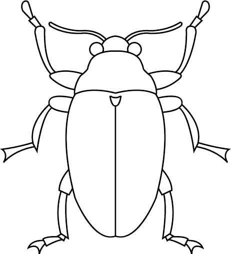 beetle coloring page