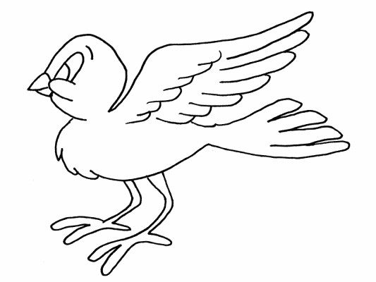 bird coloring page