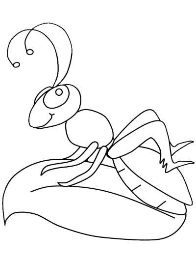 cricket coloring page