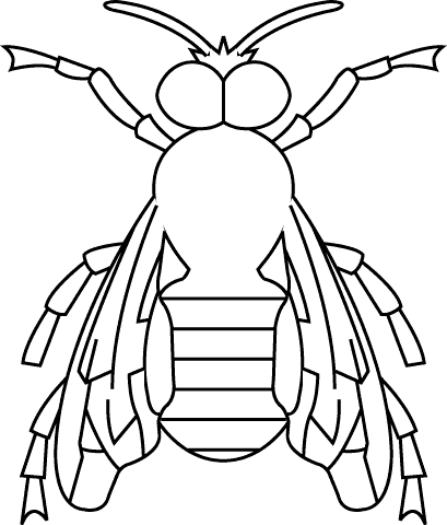 fly coloring page